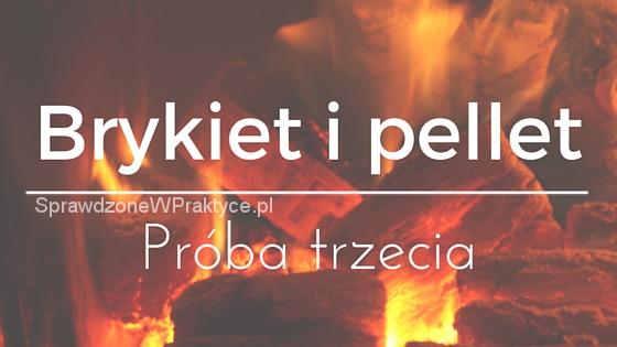 Brykiet i pellet w kominku