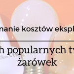 Jaką żarówkę wybrać, tradycyjną, energooszczędną czy LED-ową ? Porównanie kosztów zakupu i eksploatacji